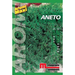 Confezione di semi di aneto 'Aneto' di Magnani Sementi, ideale per erbe aromatiche.