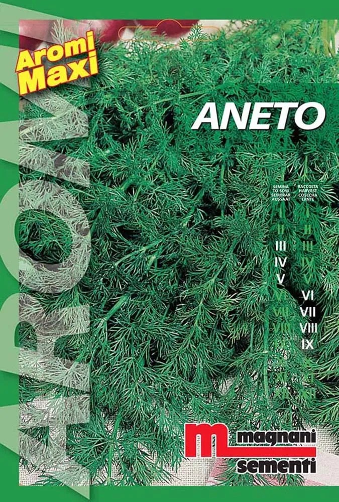 Semi Di Aneto - Garden Seeds Market | Spedizione Gratuita - 6