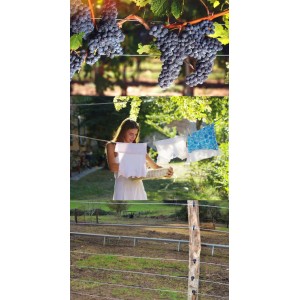 Cavo metallico per vigneto e stendibiancheria in giardino.