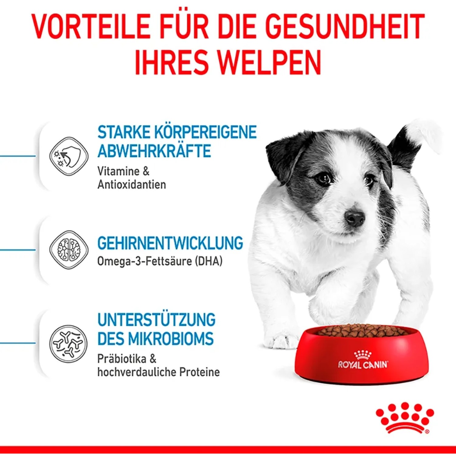 Royal Canin Mini Puppy cibo secco per cuccioli di piccola taglia con ciotola e cucciolo.