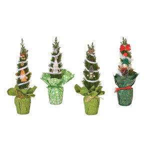 Diverse cipressi Pino decorati in vaso, adornati a festa.