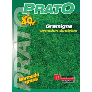 Confezione di semi per prato "t.b.t.", adatta per 40m².