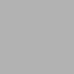 Pittura home color superlavabile igienizzante argento 0,75 l