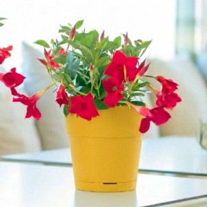 Vaso per piante plastica riciclata Giallo Senape Ø 15 cm