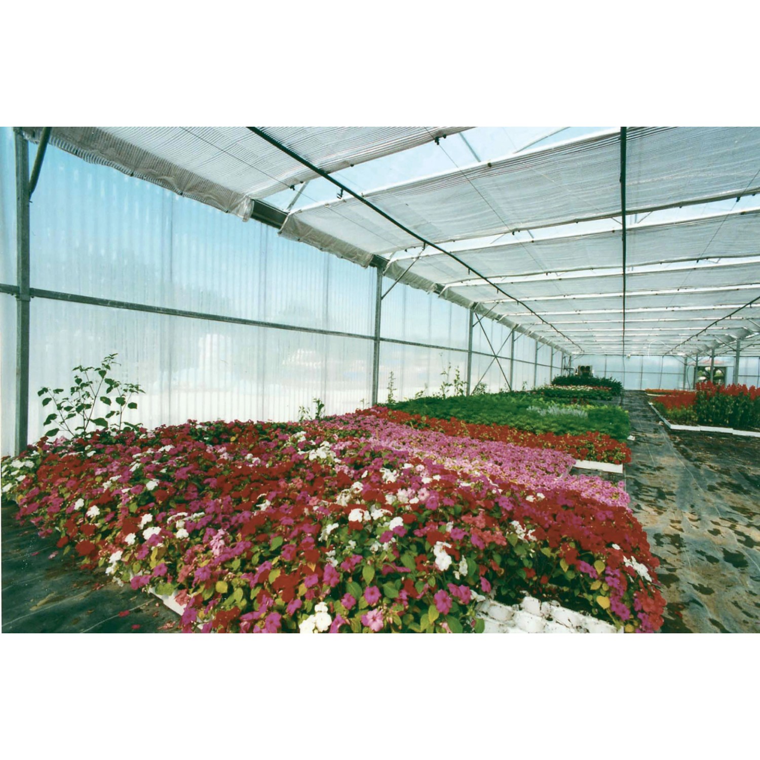 Rotolo In Vetroresina Ondulata Traslucido 1,5m X 20m - Materiale Neutro Per Coperture, Tetti E Isolamenti - Foto 13