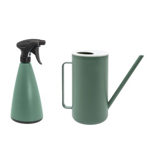 Annaffiatoio verde e flacone spray per la cura delle piante.