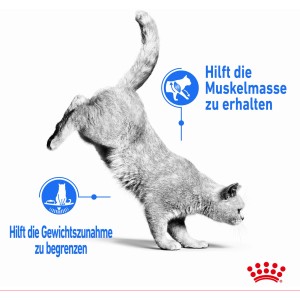 Gatto in posizione di salto, croccantini Royal Canin Light Weight Care per il controllo del peso.