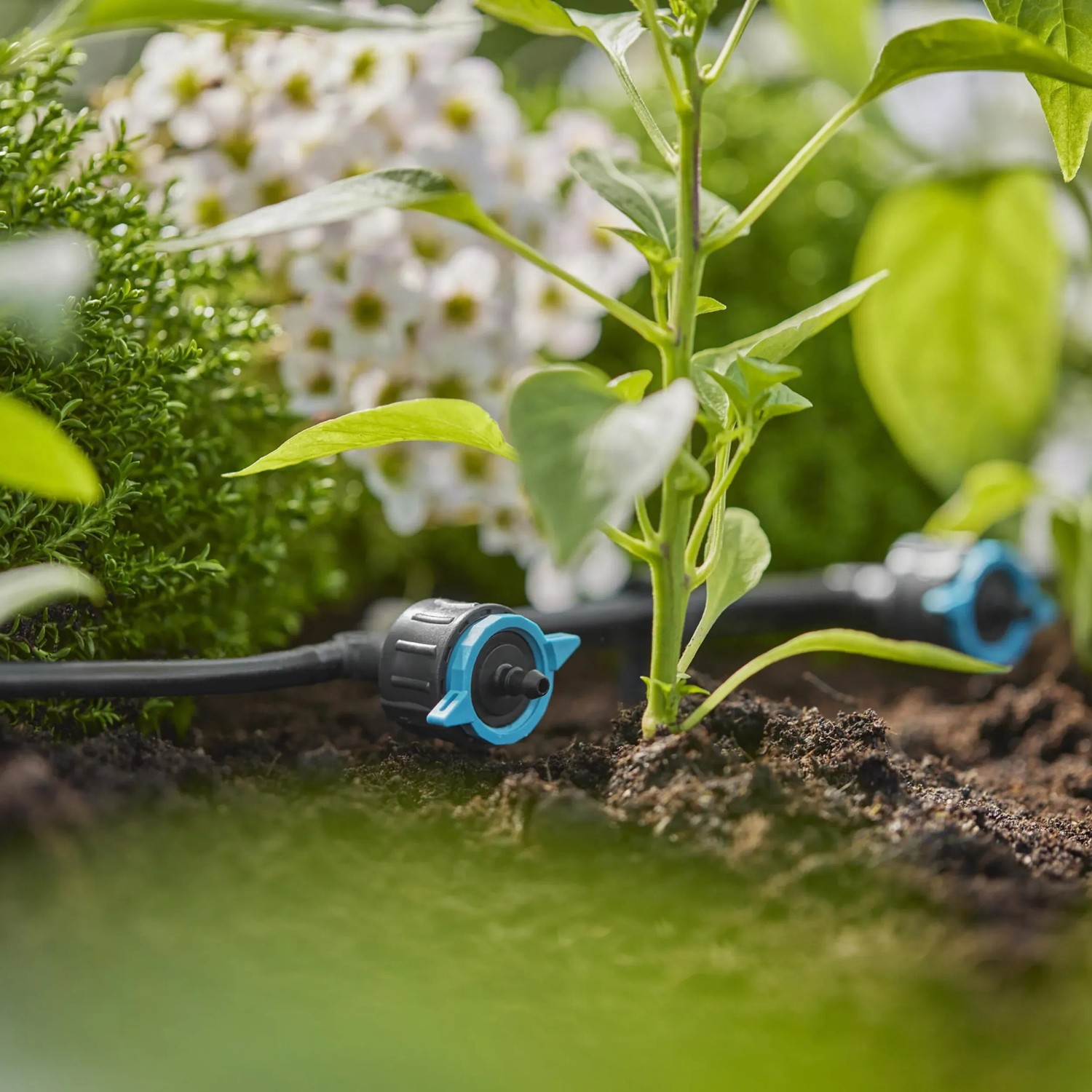 Gocciolatore di fila Gardena nell'aiuola: Irrigazione regolabile per sistemi Micro-Drip.