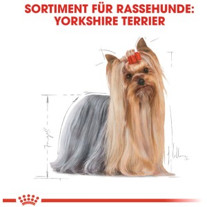 Illustrazione di un Yorkshire Terrier per cibo per cani Royal Canin.