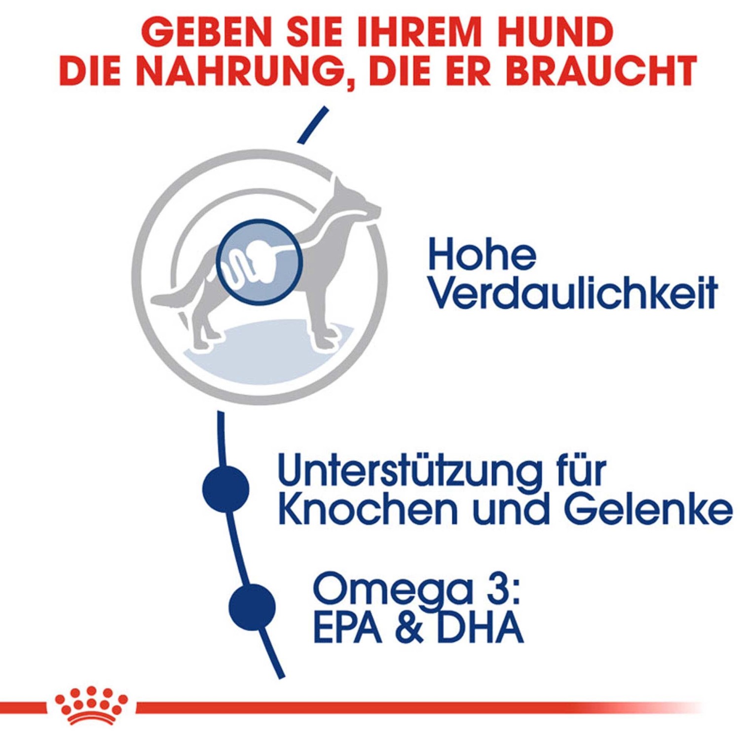 Royal Canin Maxi Adult: Grafica su alta digeribilità, supporto ossa e articolazioni, Omega 3 per cani di taglia grande.