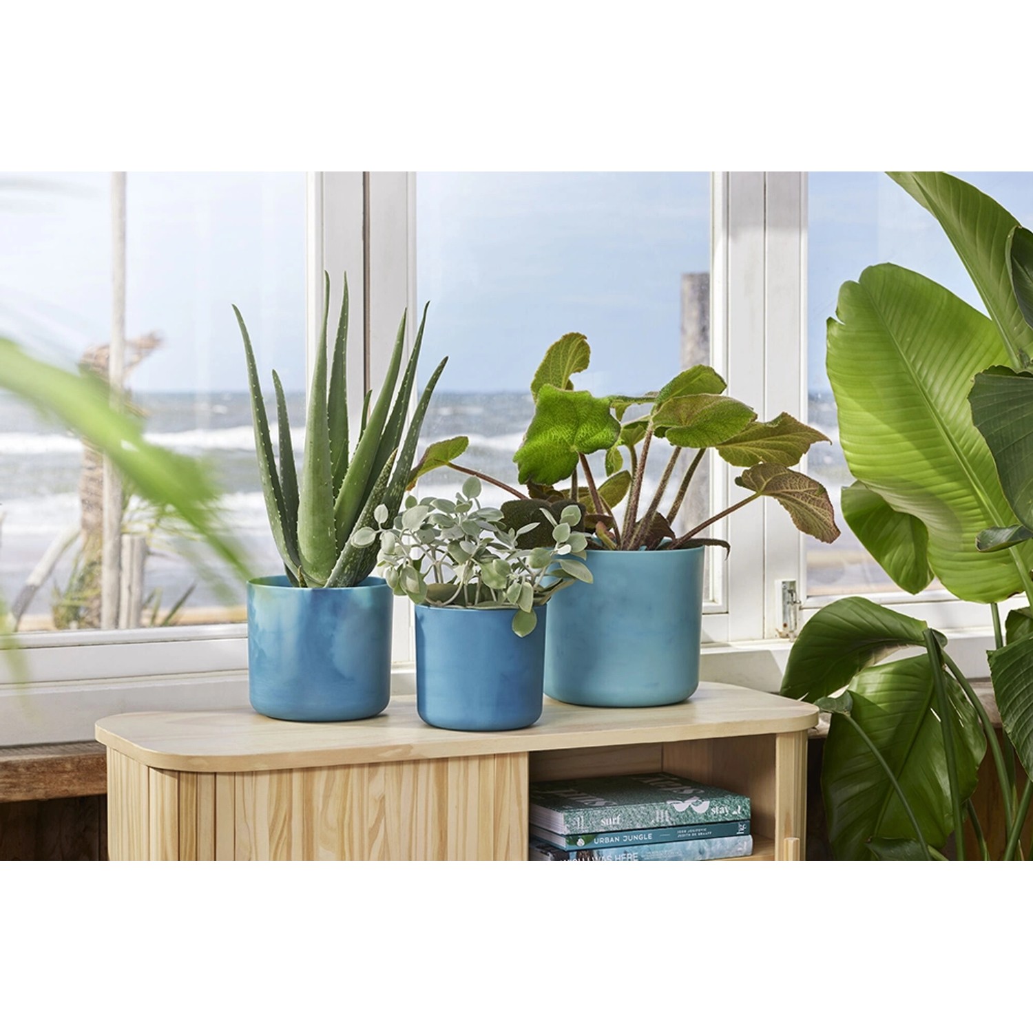 Tre vasi blu Elho Ocean Collection (Ø 16 cm) su un mobile in legno davanti a una finestra.