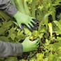 Guanti da giardino verdi con rivestimento in lattice, taglia 10, utilizzati per il giardinaggio.