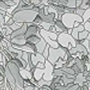 Rotolo pellicola elettrostatica Fantasia Tulips 45 cm x 2 mt