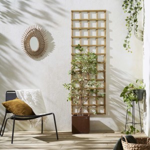 Grigliato in legno a parete con pianta, sedia e specchio decorativo. Categoria: Recinzioni da giardino.