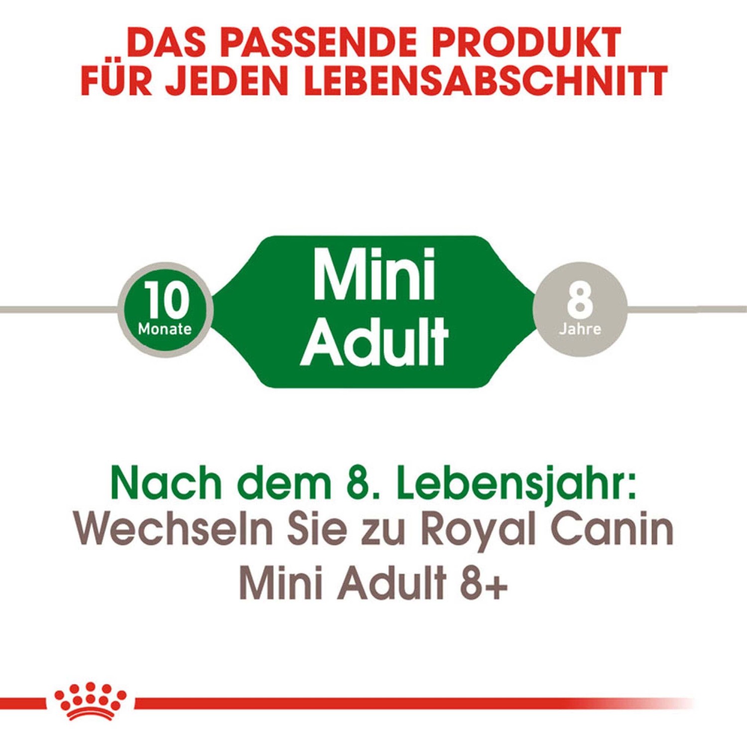 Royal Canin Mini Adult: alimento secco per cani di piccola taglia da 10 mesi a 8 anni.