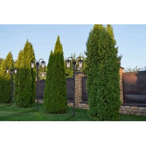 Lampada da esterno Globo nera a 3 luci, alta 180 cm, in giardino.