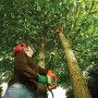 Utente che taglia rami con elettrosega ad asta Black+Decker PS7525.