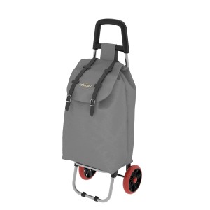 Carrello spesa grigio t.b.t. con ruote rosse. Pratico contenitore su ruote per la spesa.
