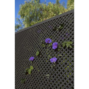 Grigliato scuro con fiori blu, categoria: Tutori e tralicci.