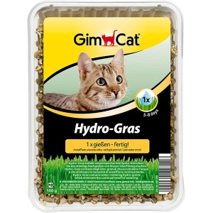 GimCat Hydro-Gras erba gatta in vaschetta, facile da innaffiare per gatti domestici.