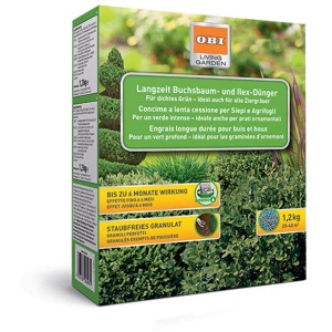 Concime a lenta cessione per bossi e agrifogli GROW by OBI, 1.2kg per crescita rigogliosa e foglie verdi.