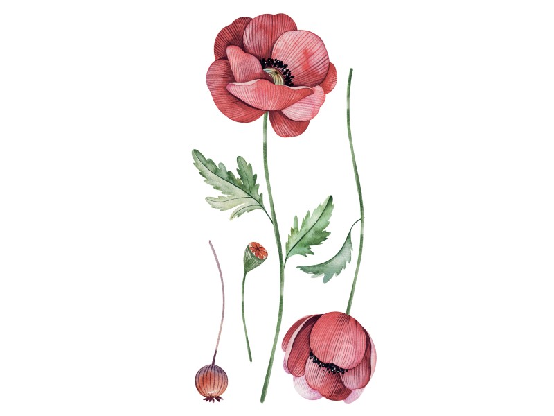 Sticker autoadesivo 2fg 15x31 cm poppies