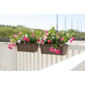 Due fioriere da balcone marroni con fiori di Mandevilla rosa su una ringhiera bianca.