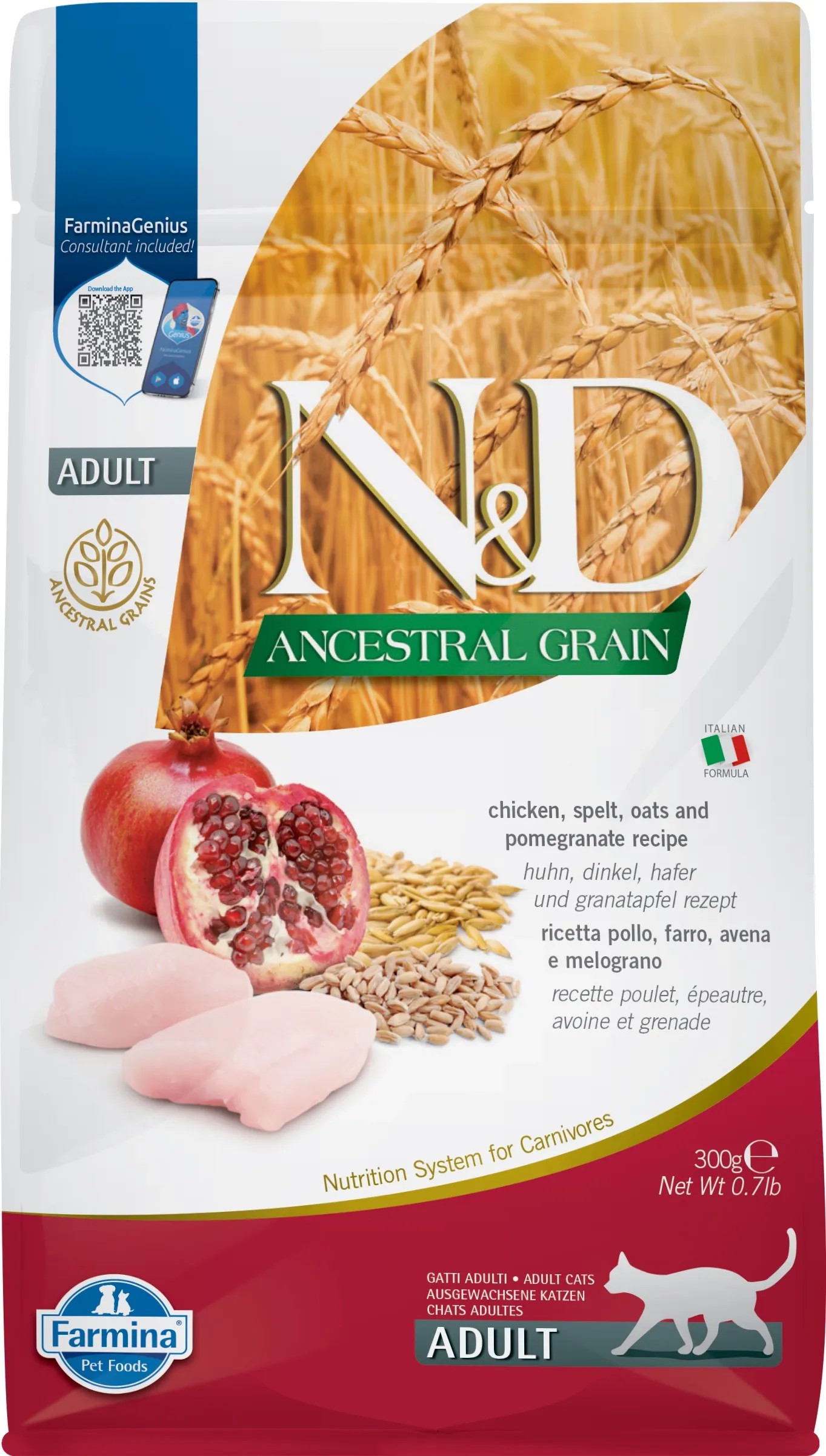 Dogs'n Tiger Adult Katzen Snacks Mmmh Mmmh Huhn, 99% Gefriergetrocknetes Filet In Zerhackten Würfeln– Ohne Zucker, Getreide & Künstliche Aromen, 14x