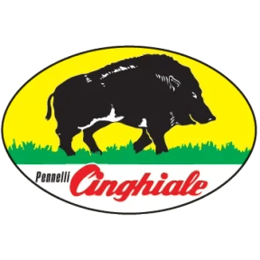 Pennelli Cinghiale logo link