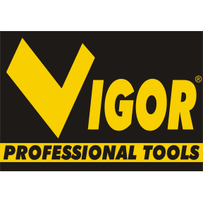 Vigor logo link