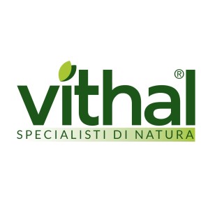 Vithal logo link